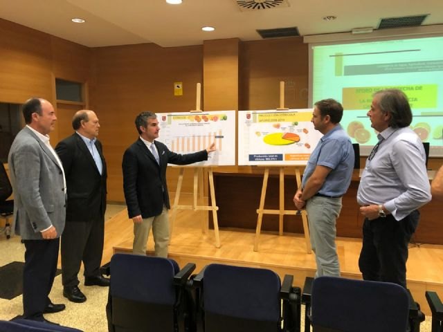 La campaña de cítricos de este año aumentará su producción en un 13,8 por ciento - 1, Foto 1