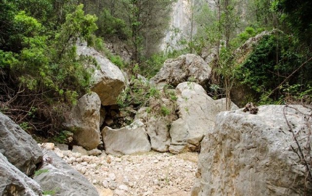 Totana supports the non-mechanized forestry management project around the headwaters of Barranco de la Hoz, in Sierra Espua