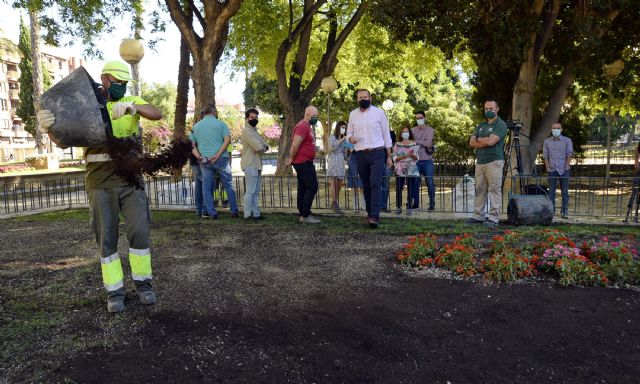 Más de 39 millones de semillas reverdecerán las praderas de césped del municipio gracias al Plan Resiembra - 1, Foto 1