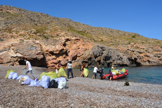 Salitrona y El Cantalar, una vez más sin basuras, aunque solo sea durante un tiempo - 2, Foto 2