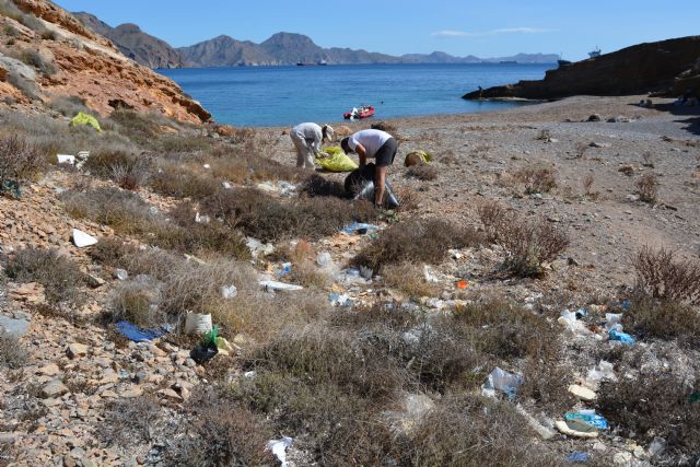 Salitrona y El Cantalar, una vez más sin basuras, aunque solo sea durante un tiempo - 5, Foto 5
