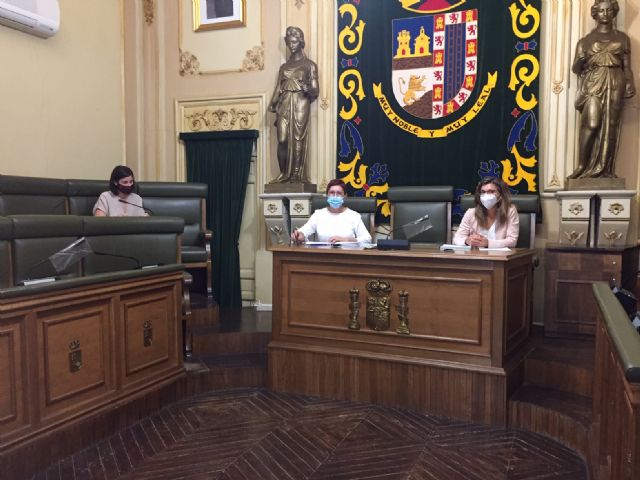 La Junta de Gobierno aprueba justificaciones de subvenciones de 2019 por 48.500 euros y convenios de 2020 por 28.000 euros - 2, Foto 2