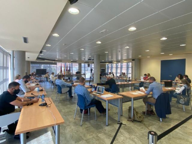 Lorca aprueba una moción conjunta para paliar los efectos negativos de la crisis sanitaria en el comercio y la hostelería - 1, Foto 1