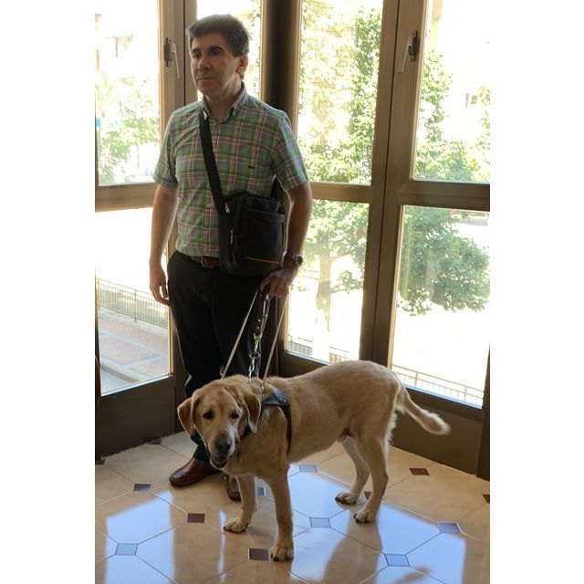 La Fundación ONCE del Perro-Guía cumple 30 años, Foto 1