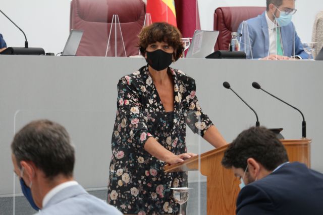 El PSRM exige al Gobierno regional que garantice la atención en los hospitales públicos a las mujeres que deciden interrumpir su embarazo - 1, Foto 1