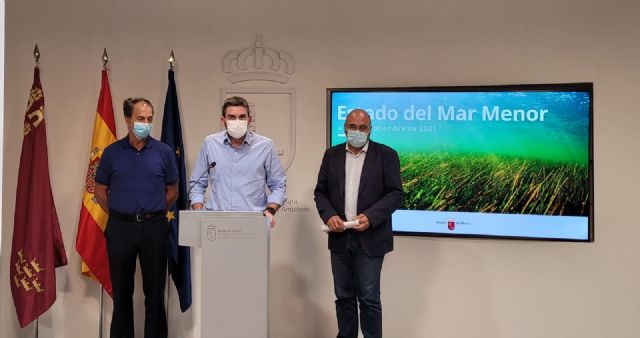 Nuevo episodio de anoxia en el Mar Menor - 1, Foto 1