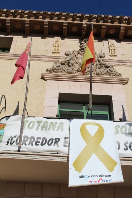 El Ayuntamiento de Totana se adherirá a la declaración de septiembre como mes de concienciación del cáncer infantil - 2, Foto 2
