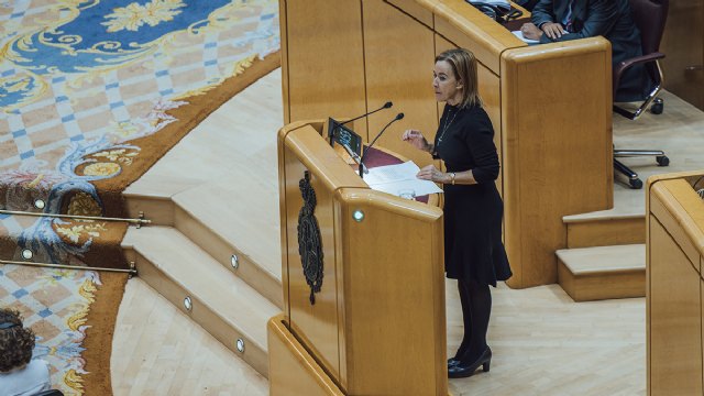 VOX logra en el Senado que se acepten ayudas directas por hijo, deducciones fiscales, facilidades para acceder a una vivienda para familias - 1, Foto 1