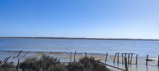 Ecologistas en Acción promueve el hermanamiento Doñana-Mar Menor - 3, Foto 3