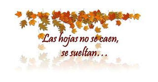 Las hojas no se caen… se sueltan - 1, Foto 1