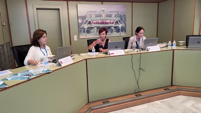 La Asamblea Regional acoge una reunión de la Comisión Sectorial de Gobierno Abierto - 5, Foto 5