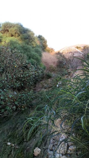 El Ayuntamiento limpia todos los cauces urbanos menos la rambla de Canteras - 1, Foto 1