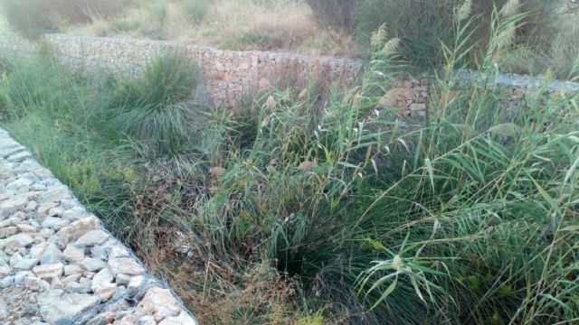 El Ayuntamiento limpia todos los cauces urbanos menos la rambla de Canteras - 2, Foto 2