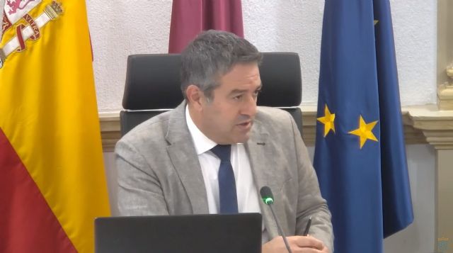 Rechazo del Pleno de Alcantarilla a la tramitación de una Ley de Amnistía por parte del Gobierno de España - 3, Foto 3