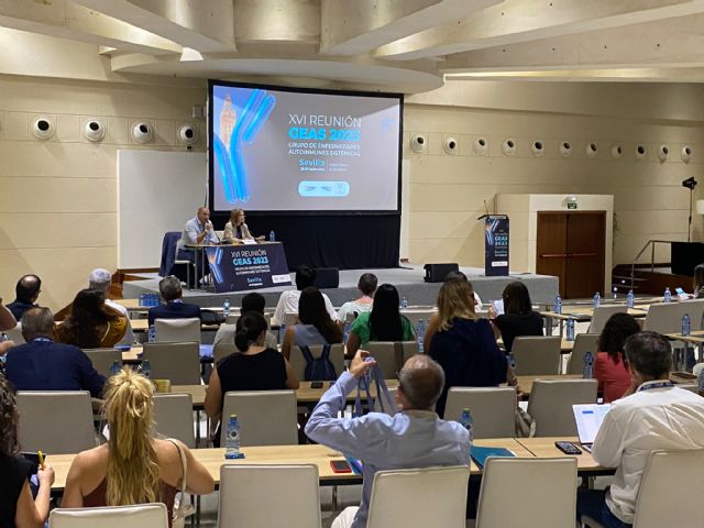 Xvi reunión del grupo de enfermedades autoinmunes de la soc. española de medicina interna (semi) - 2, Foto 2