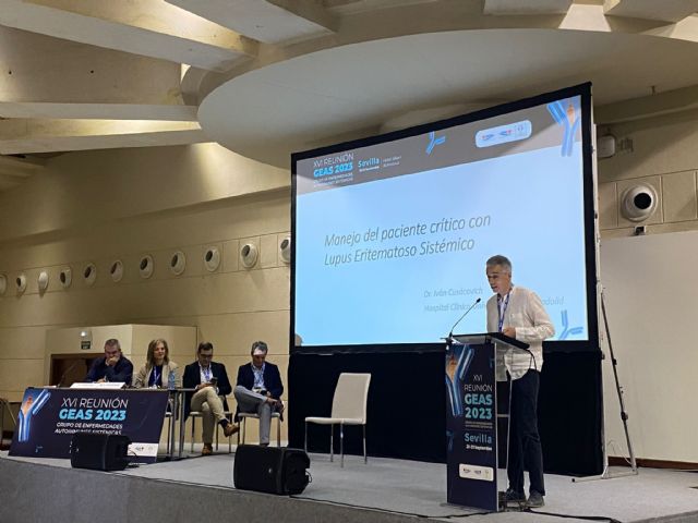 Xvi reunión del grupo de enfermedades autoinmunes de la soc. española de medicina interna (semi) - 4, Foto 4