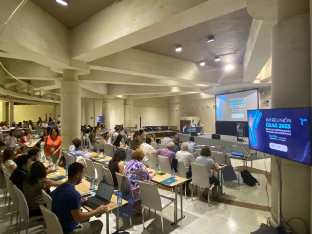 Xvi reunión del grupo de enfermedades autoinmunes de la soc. española de medicina interna (semi) - 5, Foto 5