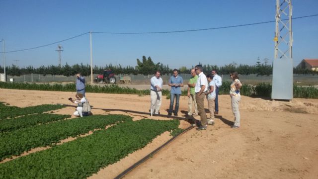 Agricultura acoge la reunión del Comité Fitosanitario Nacional - 2, Foto 2