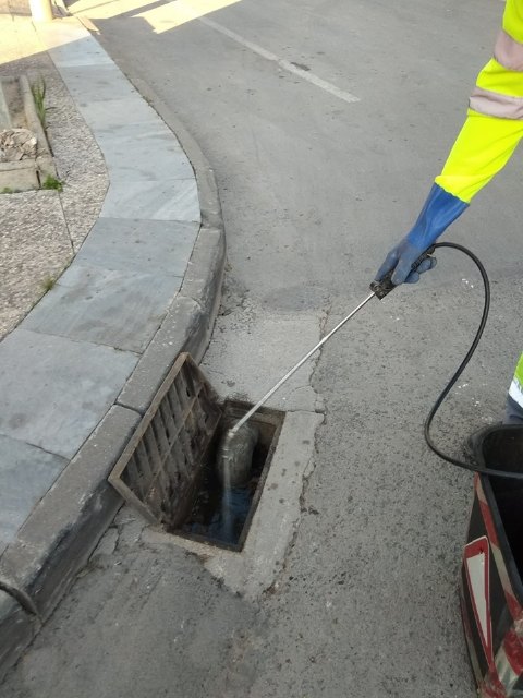 Se mantienen las tareas de fumigación intensiva contra mosquitos y otros insectos - 1, Foto 1