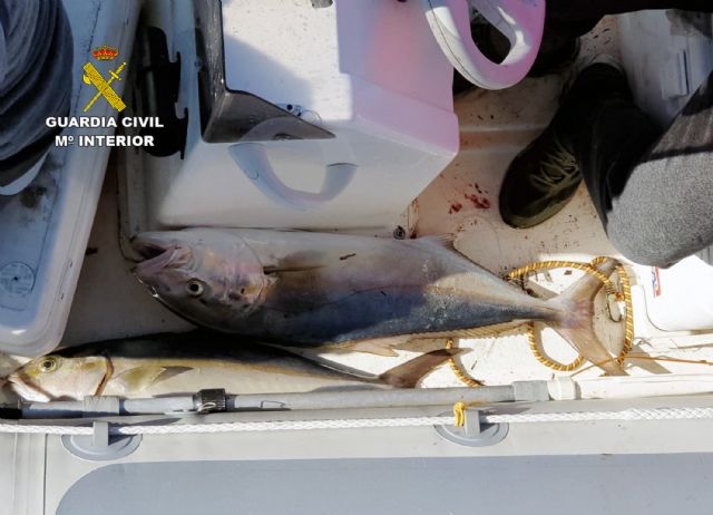 La Guardia Civil denuncia a dos pescadores en la reserva marina de Cabo Tiñoso - 2, Foto 2