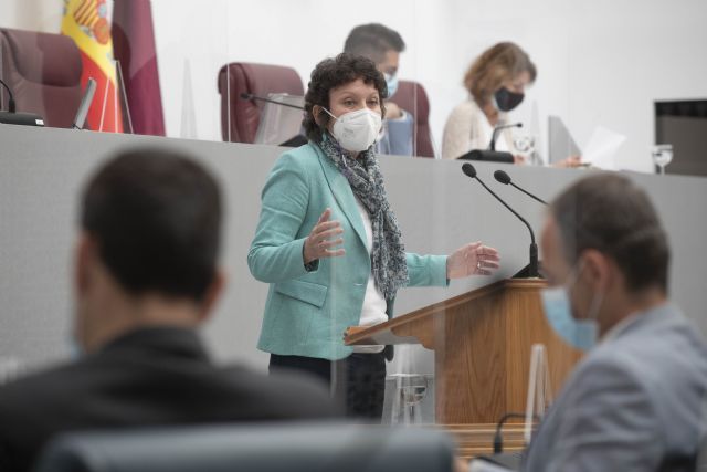 María Marín: López Miras utiliza okupas y pateras como cortinas de humo para tapar su nefasta gestión de la pandemia - 1, Foto 1