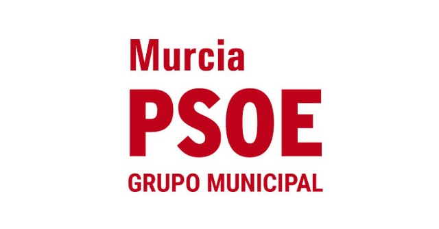 El PSOE presenta una moción para acabar con las deficiencias históricas de El Palmar - 1, Foto 1