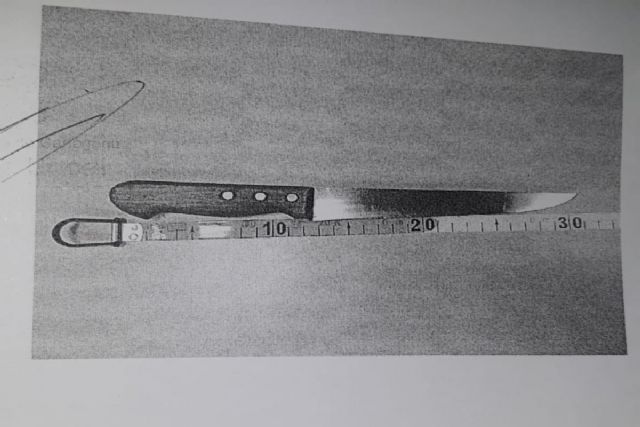 Policía Local detiene a un hombre por supuesto intento de robo con violencia e intimidación - 1, Foto 1