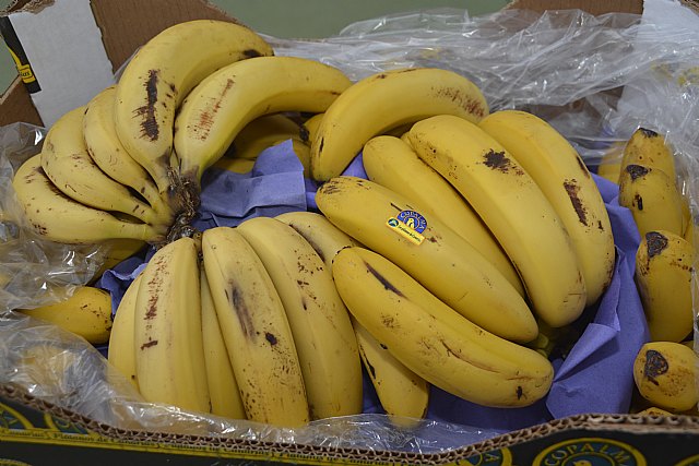 Plátanos solidarios con La Palma en el Colegio Reina Sofía de Totana, Foto 3