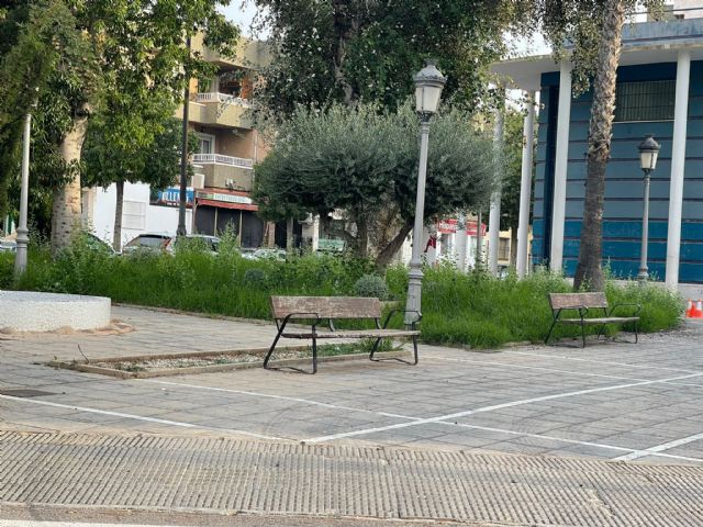 El grupo municipal socialista quiere volver a denunciar la situacion de abandono y dejadez de los parques y jardines - 1, Foto 1
