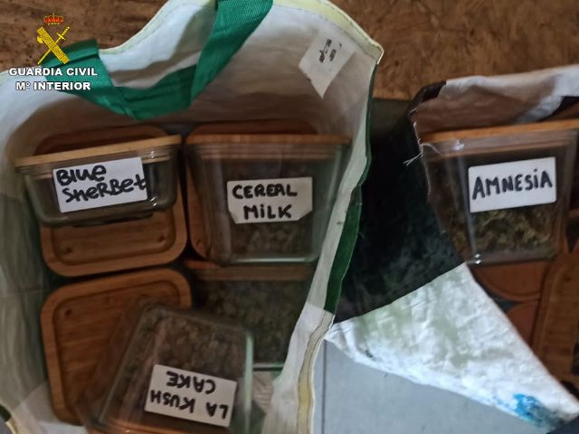 La Guardia Civil desmantela un grupo criminal dedicado al tráfico de droga internacional - 5, Foto 5