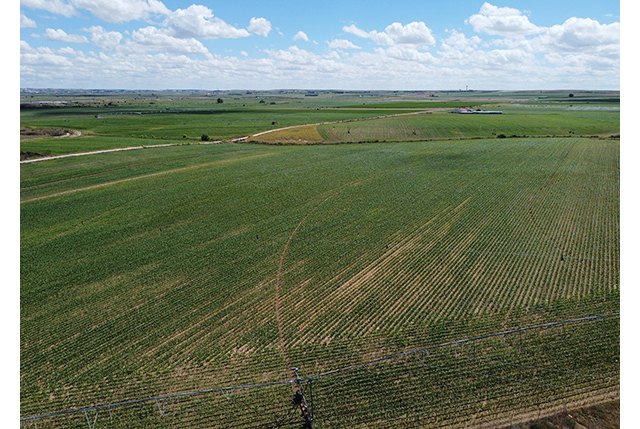 UPA pide a las fuerzas políticas que incluyan la doble tarificación eléctrica para los regadíos en la Ley de la PAC - 1, Foto 1