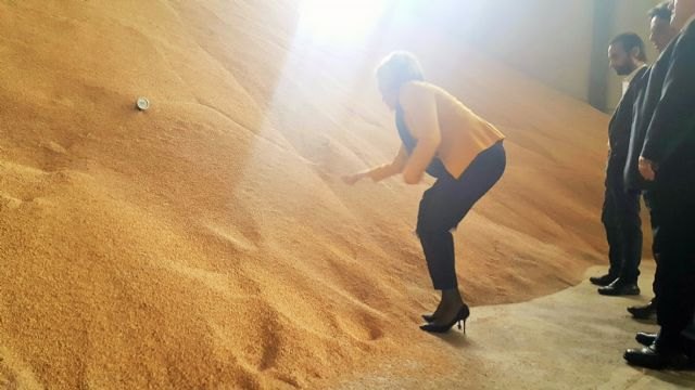 Los arrozales de Calasparra son un ejemplo de cultivo sostenible en un entorno ecológico - 1, Foto 1