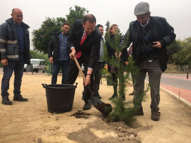 Niños de la Asociación de Discapacitados DISMO impulsan el plan SOMBRA con la plantación de nuevos árboles - 3, Foto 3