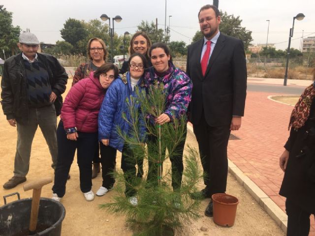 Niños de la Asociación de Discapacitados DISMO impulsan el plan SOMBRA con la plantación de nuevos árboles - 5, Foto 5