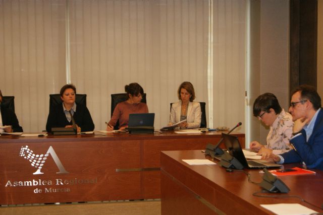 El PSOE pide explicaciones al consejero de Fomento por no desarrollar el reglamento de la nueva Ley de Vivienda - 1, Foto 1