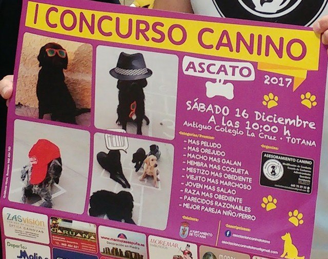 Totana acogerá el I Concurso Canino en el antiguo colegio La Cruz el 16 de diciembre, con numerosos premios en las diferentes categorías, Foto 2