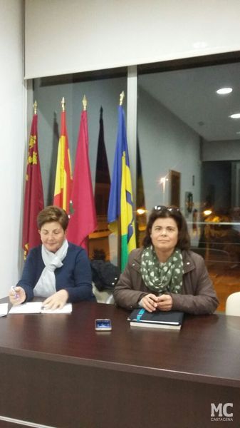 MC exige en el Pleno de La Palma que se mejore la seguridad en la carretera regional RM-311, vía ubicada junto a la parcela de la Fundación Tomás Ferro - 2, Foto 2