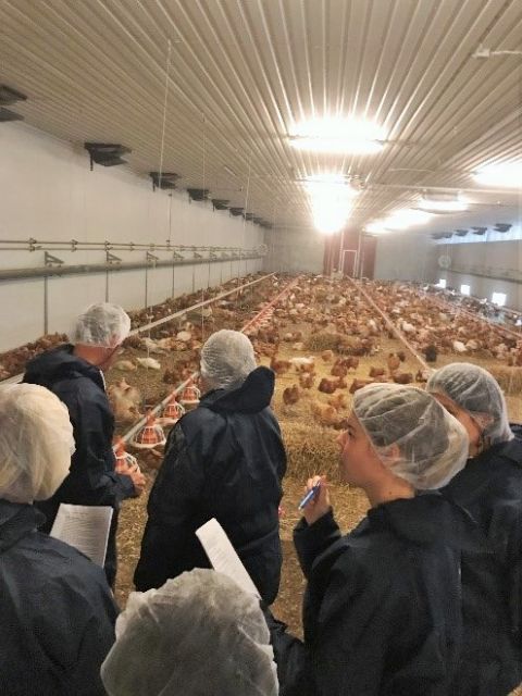 El Cifea de Lorca participa en Suecia en un curso sobre bienestar animal organizado por la Comisión Europea - 1, Foto 1