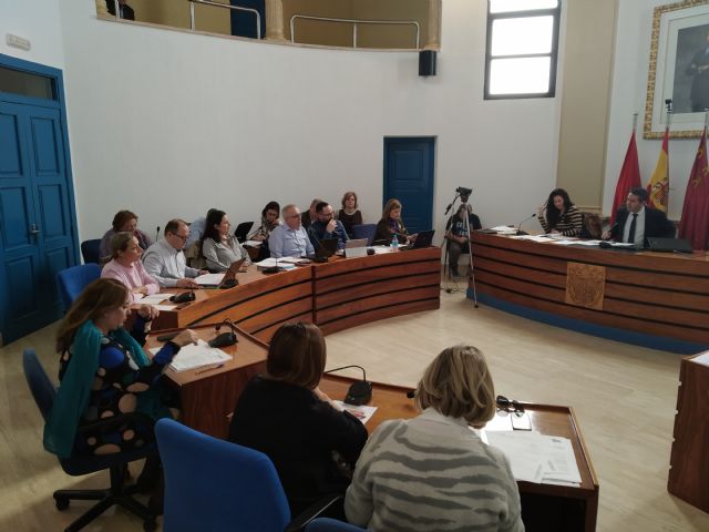 El Pleno aprueba inicialmente la ordenanza que regula la ocupación de la vía pública - 2, Foto 2