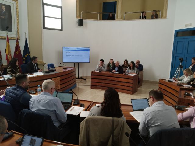 El Pleno aprueba inicialmente la ordenanza que regula la ocupación de la vía pública - 3, Foto 3