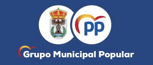 El PP pide que se amplíe el plazo de pago del periodo voluntario del IBI - 1, Foto 1