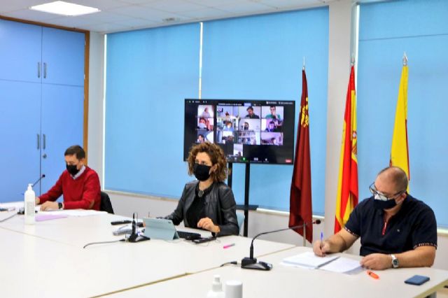 El Pleno de Archena muestra su apoyo de forma unánime al sector de la Pirotecnia castigado también por la COVID19 - 1, Foto 1