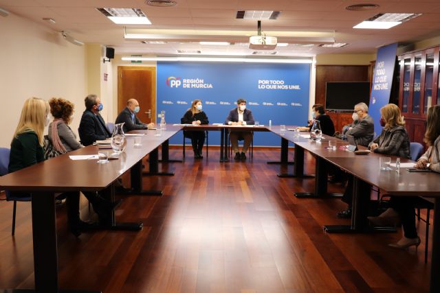 López Miras: Si PSOE y Podemos hubieran escuchado a familias y profesionales de la Educación Especial no habrían aprobado la nueva ley educativa - 1, Foto 1