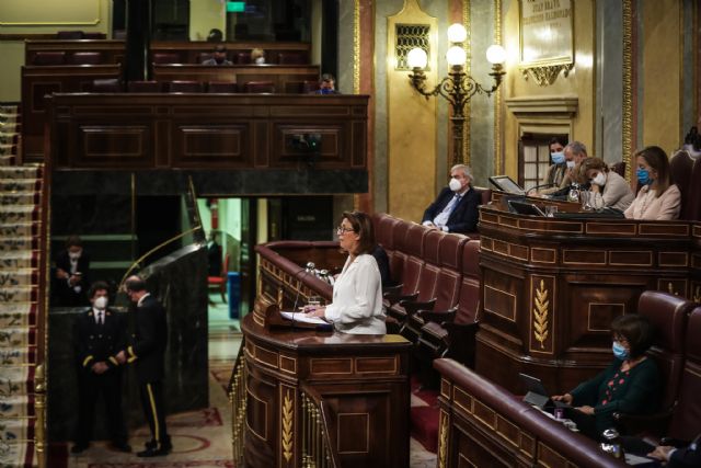 El PP pide a los diputados del PSOE que no infundan miedo a la población, porque con la salud de los murcianos no se juega - 1, Foto 1