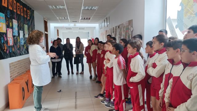 EXPOSICIÓN ITINERANTE “El Síndrome DYRK1A en tu cole, ven a conocerlo” - 1, Foto 1