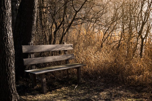 4 de diciembre, Día Internacional de los Bancos - 1, Foto 1