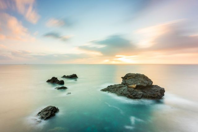 Cartagena acoge el congreso de la Asociación Española de Fotógrafos de Naturaleza - 1, Foto 1