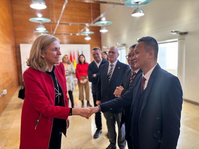 Murcia impulsa nuevas alianzas económicas y tecnológicas con Nanchong y Chengdu - 1, Foto 1