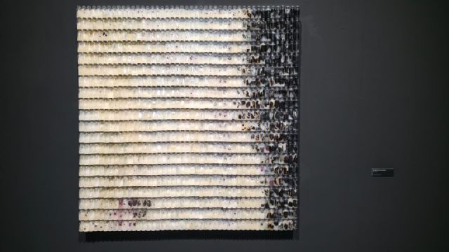 El 'Esbozo de la espora', de Paula Ciani, gana el certamen CreaMurcia 'Edición Murcia 1200' en la categoría de Artes Visuales - 3, Foto 3