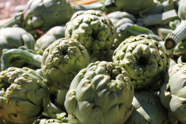 Expertos del sector analizarán los retos del cultivo de la alcachofa en Almoradí - 2, Foto 2